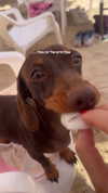 maya.keyy Altpins Profile Picture