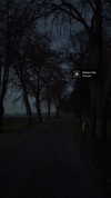 apathy.impress Altpins Profile Picture