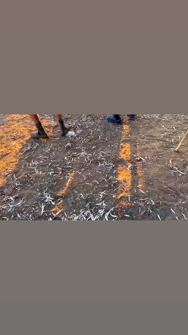 shaharo__._ archive video preview