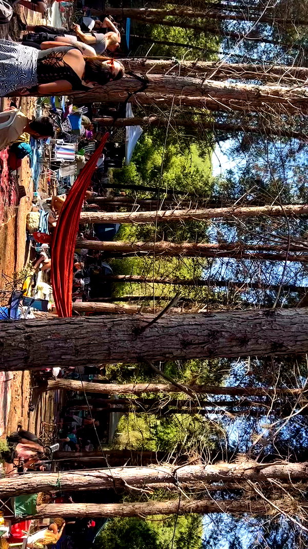 yulia.isakov archive video preview
