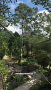 _mashachka_ Altpins Profile Picture