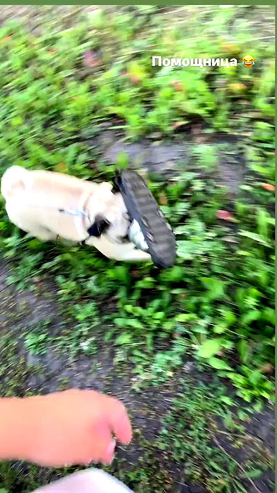 nyityam nyityam archive video