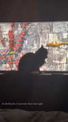 brookee.vnm Altpins Profile Picture
