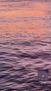 rouxroux.tv Altpins Profile Picture