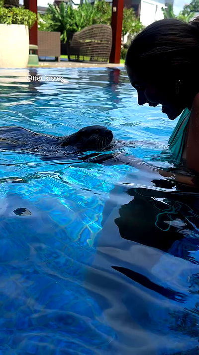 taylor.creeden taylor.creeden archive video