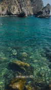 ancideja Altpins Profile Picture