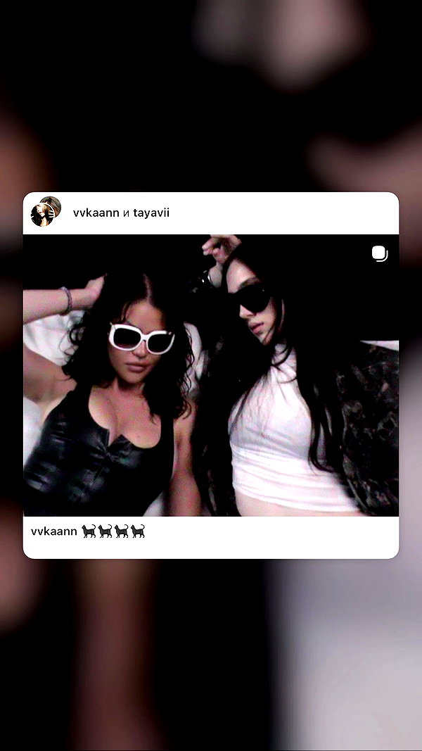 tayavii archive video preview