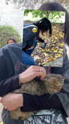 dante_yangpa Altpins Profile Picture
