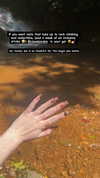 9bitez Altpins Profile Picture