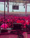 avrillavigne Altpins Profile Picture