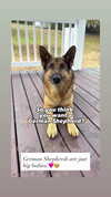 emily_new2 Altpins Profile Picture