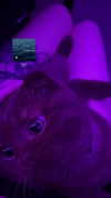 alice_hez Altpins Profile Picture