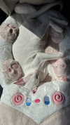 fallen.angel2007 Altpins Profile Picture