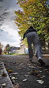 vik4au Altpins Profile Picture
