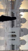 vvelum_ Altpins Profile Picture