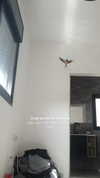 tinapavlov.sky Altpins Profile Picture