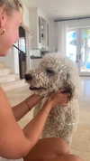 biancanataliie Altpins Profile Picture