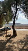 eitan.420 Altpins Profile Picture