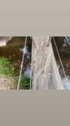 elizabethcampbelljones Altpins Profile Picture