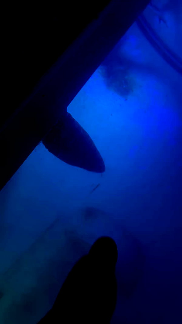 yrdndmty2tbh archive video preview