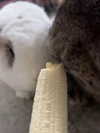 danielle.mercedie Altpins Profile Picture