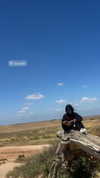 _l1loo Altpins Profile Picture