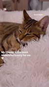 darkstar_mia Altpins Profile Picture
