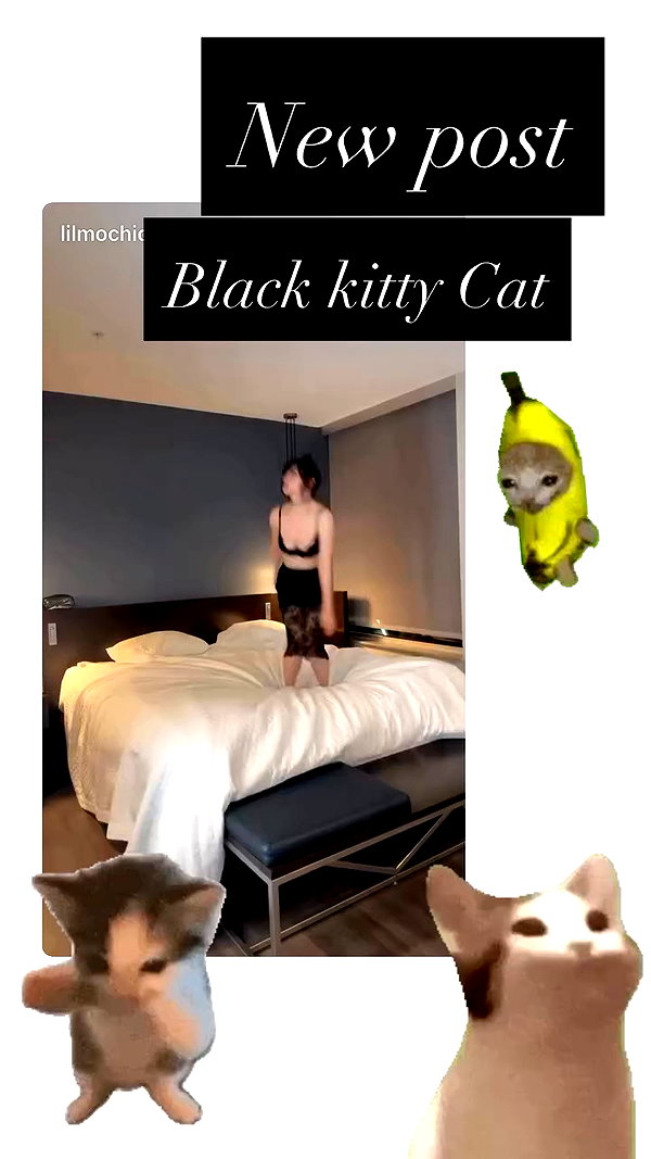 lilmochidoll archive video preview