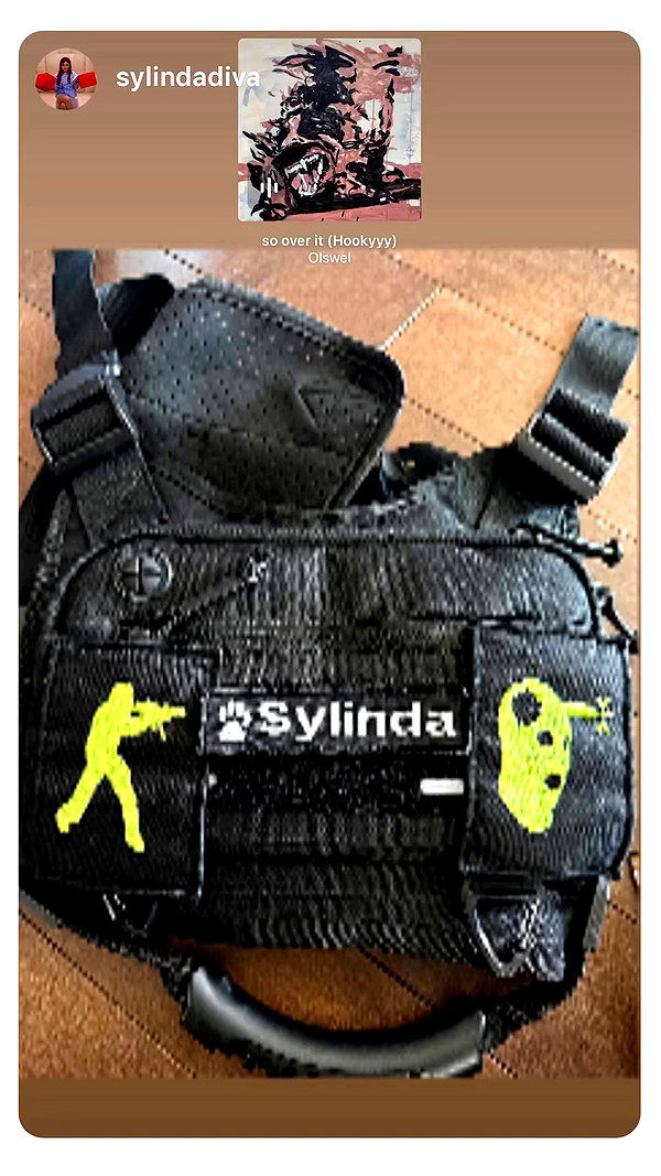 sylindalita archive video preview