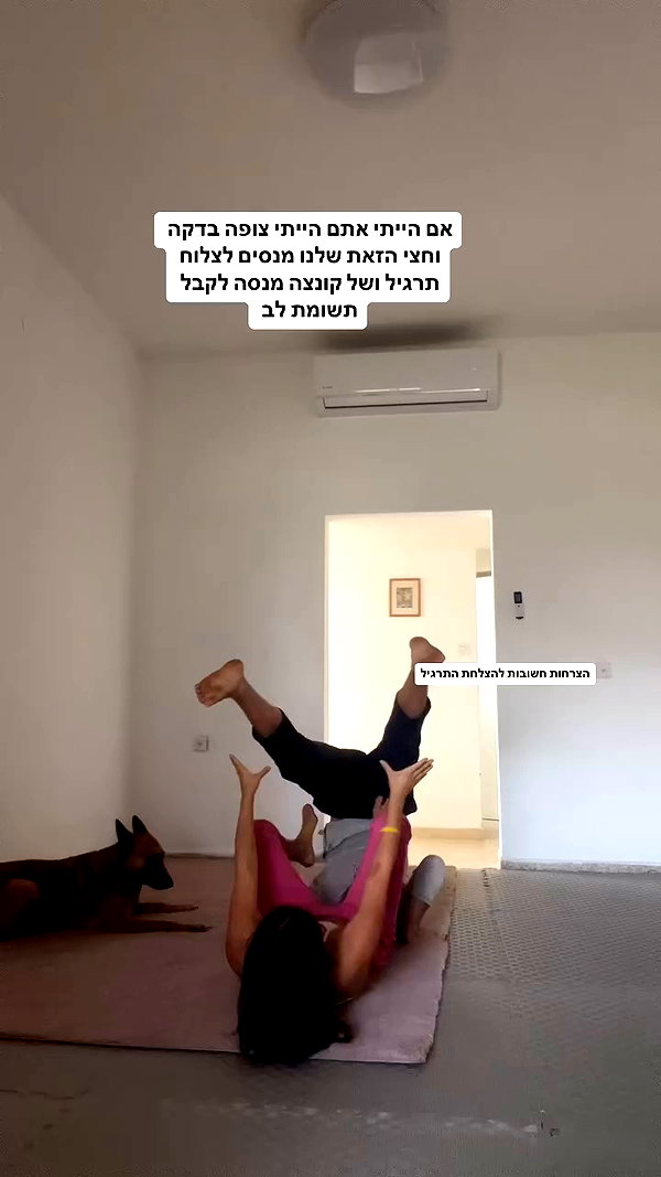 yuval_raz archive video preview
