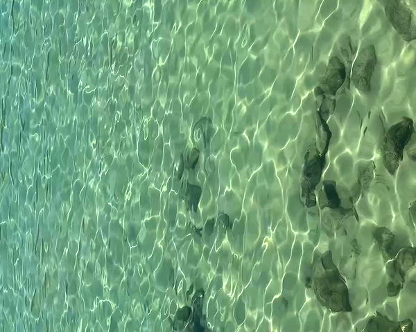 edenharper archive video preview