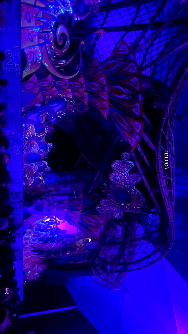 _lironatias archive video preview