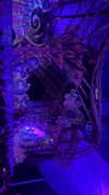 _lironatias Altpins Profile Picture