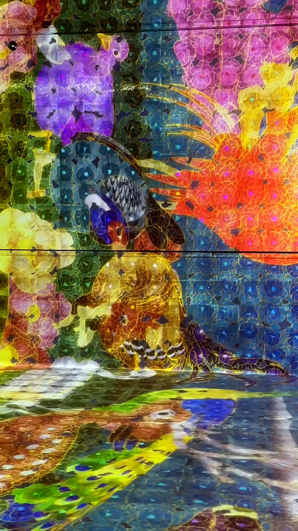 sophadophaa_ archive video preview