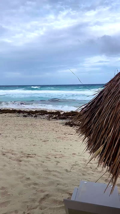 taylor.creeden taylor.creeden archive video