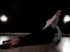 suspiria.em Altpins Profile Picture