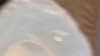 0nlygrlinthewrld Altpins Profile Picture