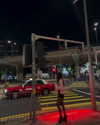 ll.lu1s Altpins Profile Picture