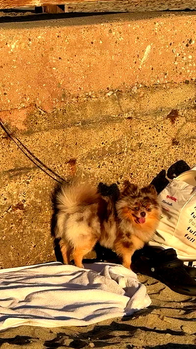 zommmbri zommmbri archive video