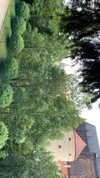 analuvillarreal Altpins Profile Picture