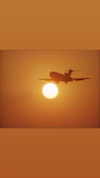 elizabethcampbelljones Altpins Profile Picture
