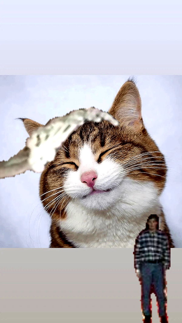 _littlerobin_ archive video preview