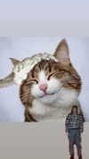 _littlerobin_ Altpins Profile Picture