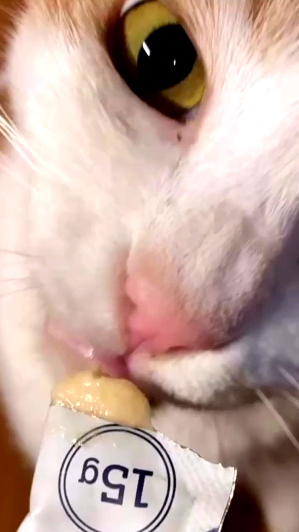 strawberryshanz archive video preview