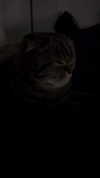 wannabeyourbabygirl Altpins Profile Picture