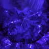 xtina Altpins Profile Picture