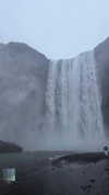 rouxroux.tv Altpins Profile Picture