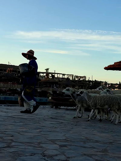 payton.r payton.r archive video