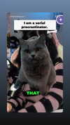 chibinekopurr Altpins Profile Picture