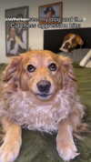 liashaked Altpins Profile Picture